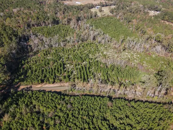 TBD County Road 412, Bronson, TX 75972