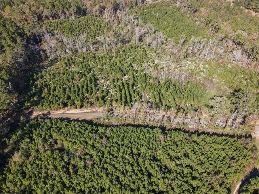 TBD County Road 412, Bronson, TX 75972 - #3