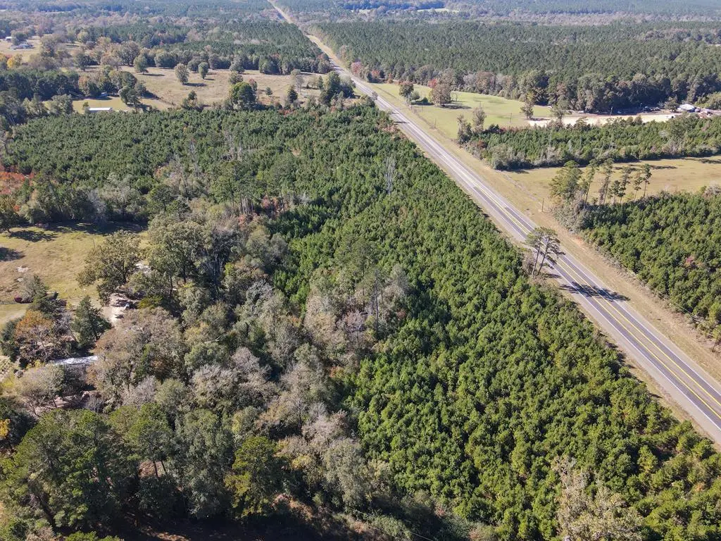 TBD Hwy 103, Bronson, TX 75972 - #1