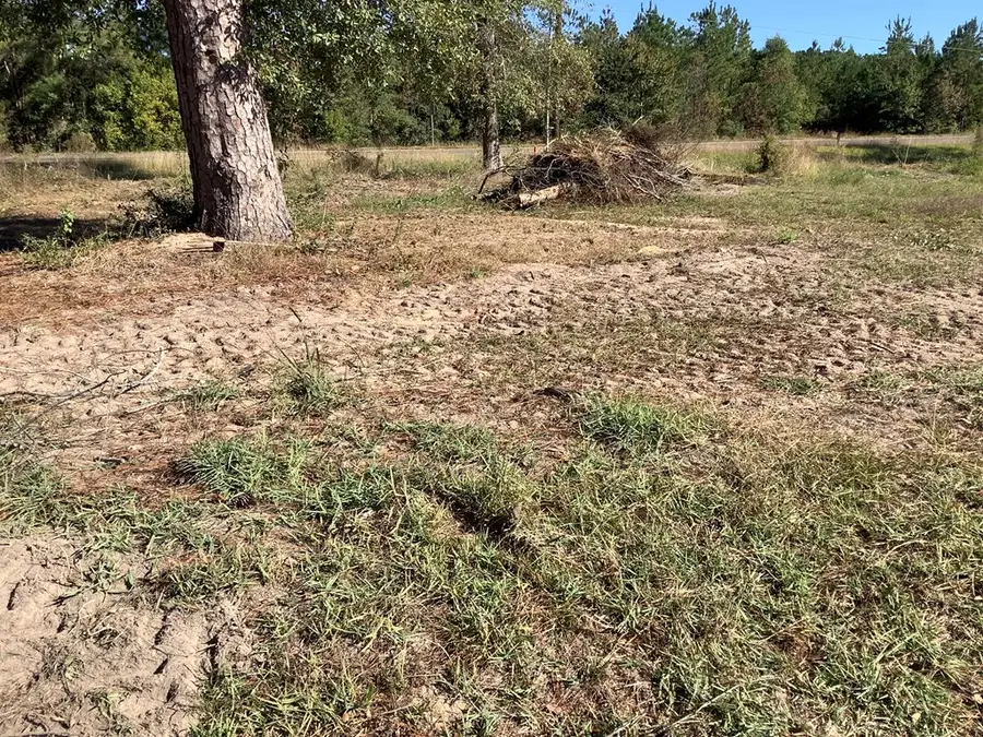 125 County Road 1910, Warren, TX 77664 - #2