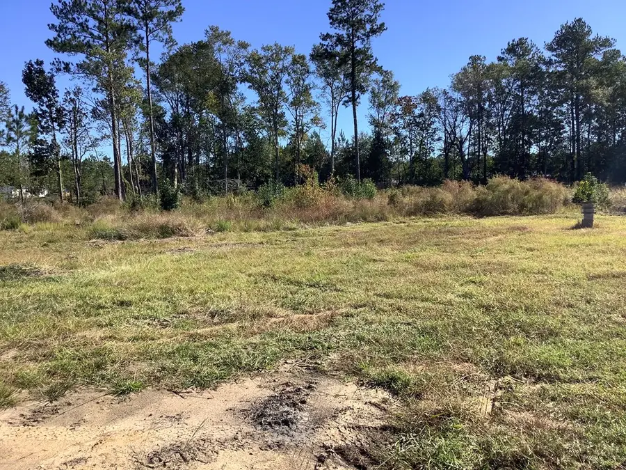 125 County Road 1910, Warren, TX 77664 - #3