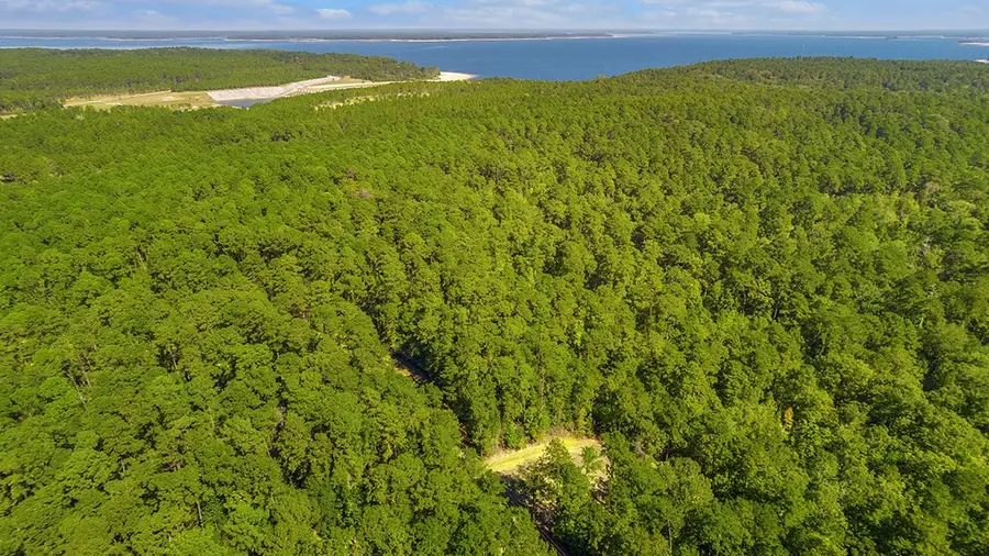 403 County Road 51, Jasper, TX 75951 - #3