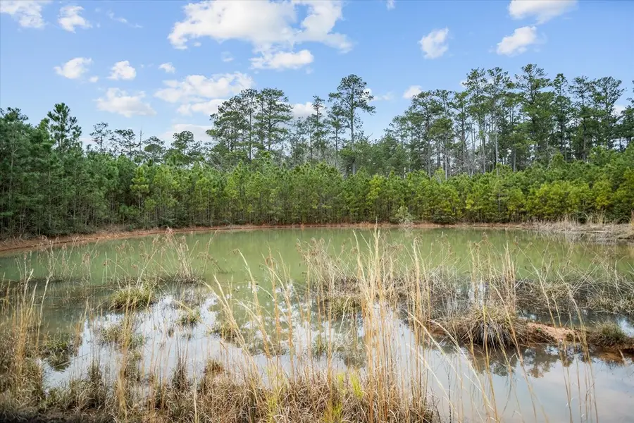 9422 Fm 62, Corrigan, TX 75939 - #3