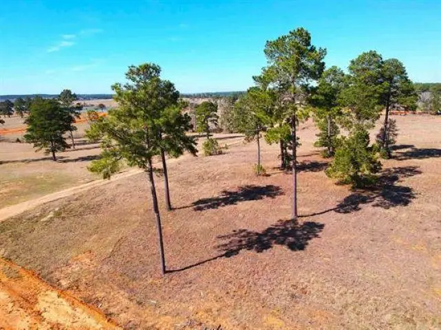 Lot 85 Lakeland Ranch, Hillister, TX 77624 - #1
