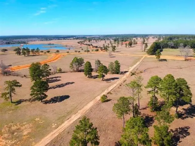 Lot 85 Lakeland Ranch, Hillister, TX 77624 - #2