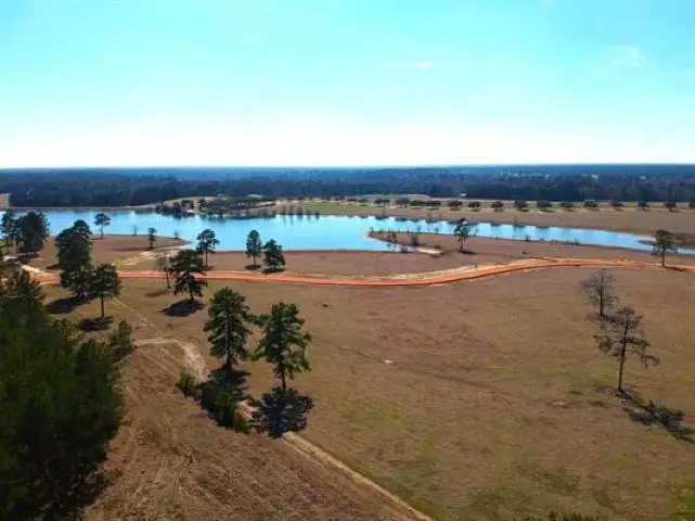 Lot 85 Lakeland Ranch, Hillister, TX 77624 - #3