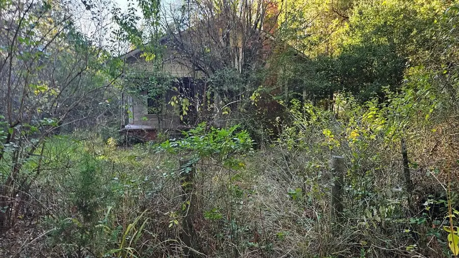 19400 County Road 3233, Cushing, TX 75760 - #2