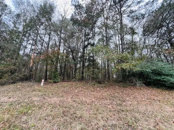 3308 U.s. Highway 96 South, Pineland, TX 75968