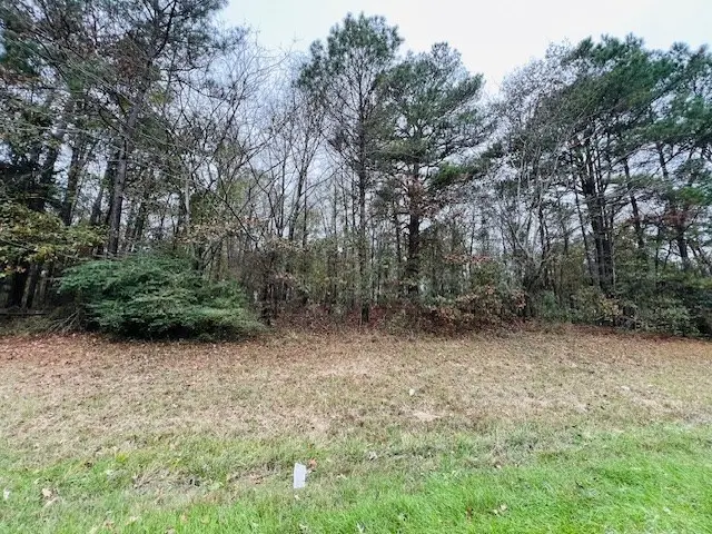 3308 U.s. Highway 96 South, Pineland, TX 75968 - #3