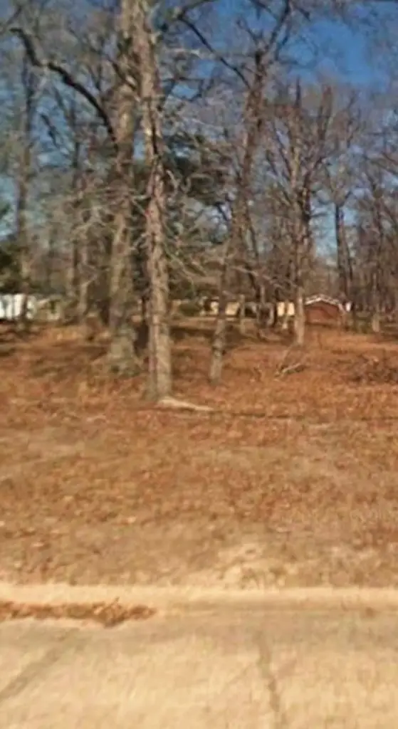 Lot 9.1-10.1 Ridgewood Street, Lufkin, TX 75904 - #2