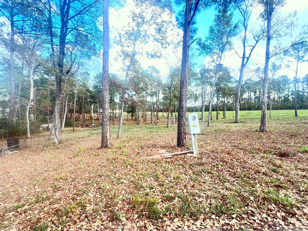 Lots 50-55 Plum, Burkeville, TX 75932