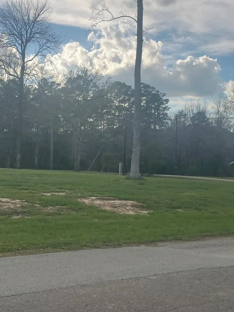 138 Pineridge Drive, Hemphill, TX 75948 - #1