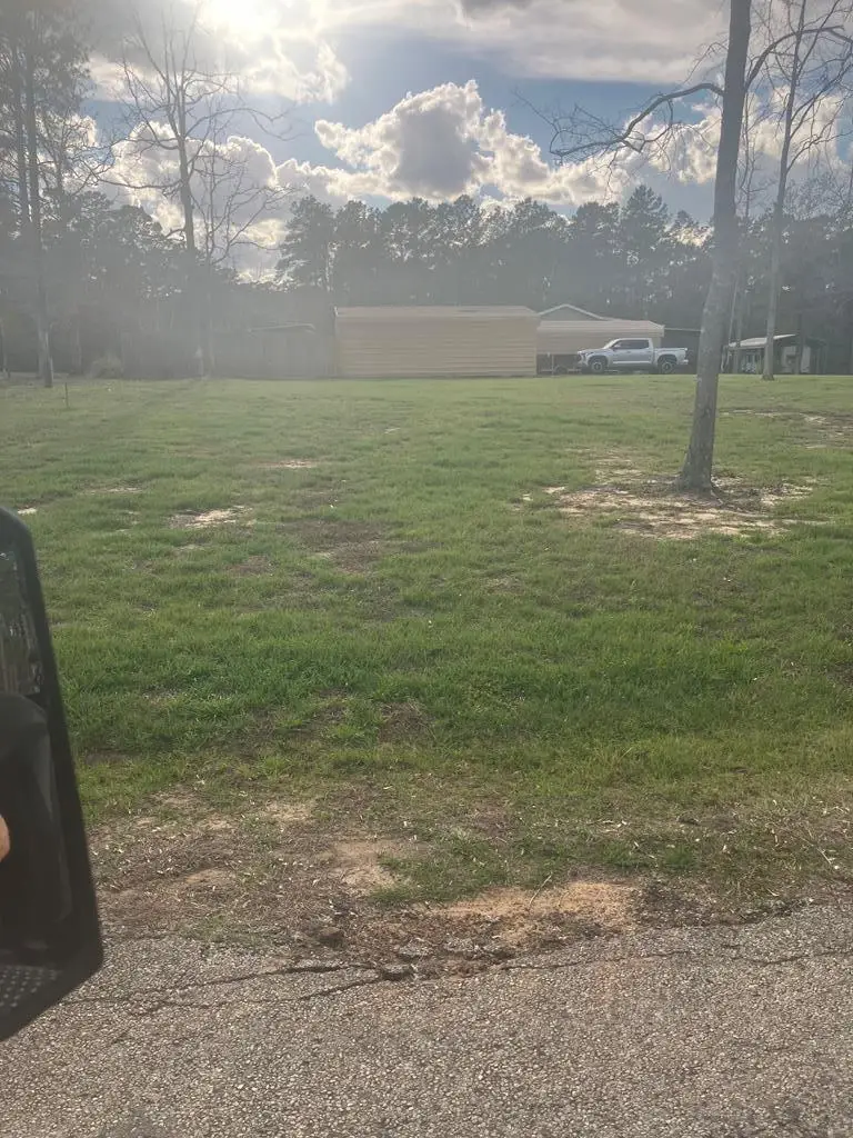 138 Pineridge Drive, Hemphill, TX 75948 - #3