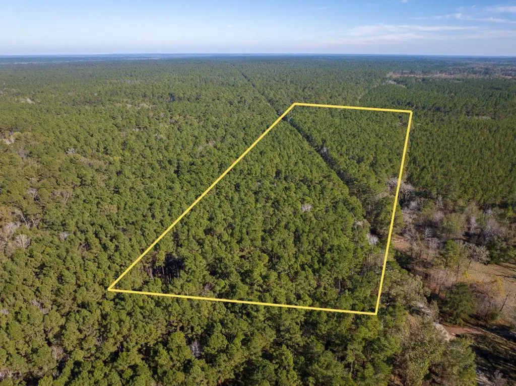 527 Forest Service Rd, Apple Springs, TX 75926 - #1