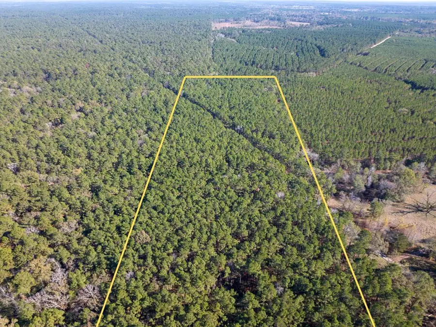 527 Forest Service Rd, Apple Springs, TX 75926 - #2