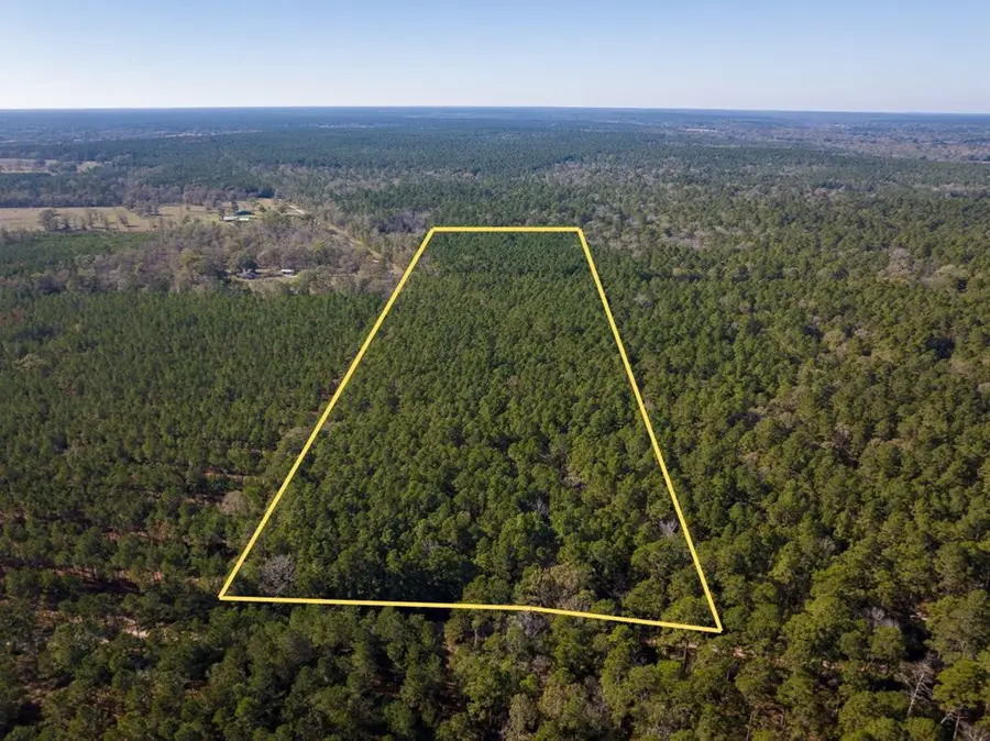 527 Forest Service Rd, Apple Springs, TX 75926 - #3