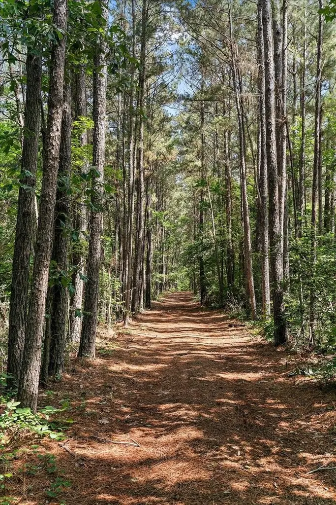 2620 Hidden Leaf Trail, Nacogdoches, TX 75964 - #3