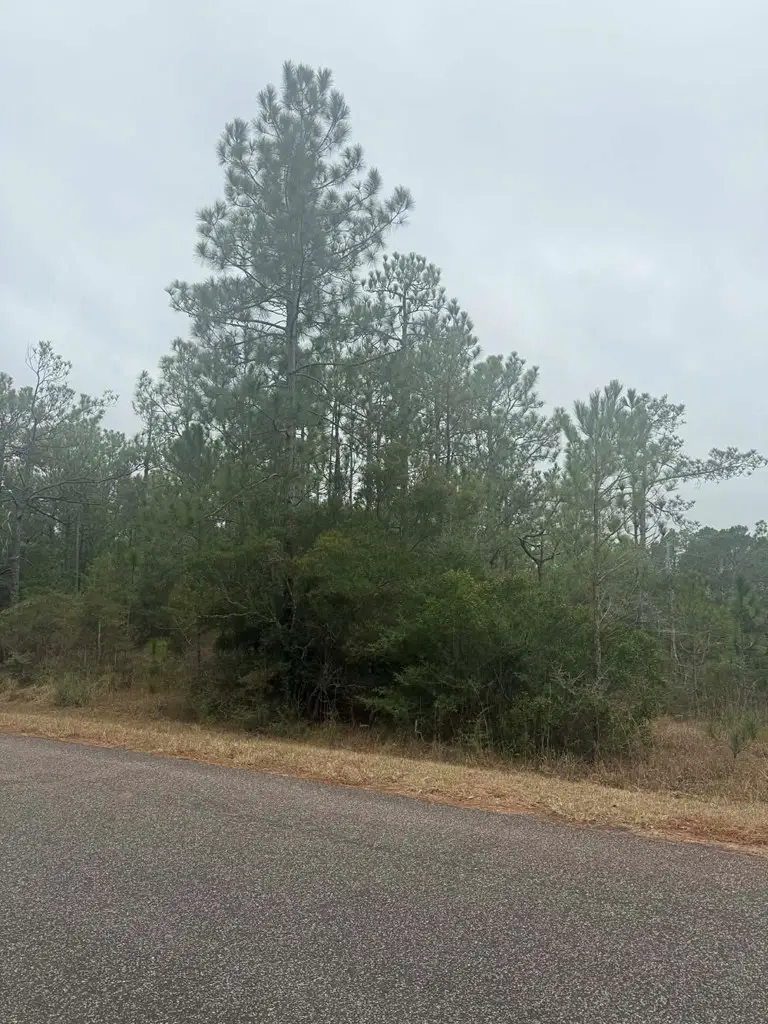 280 Hogan Drive, Brookeland, TX 75931 - #3