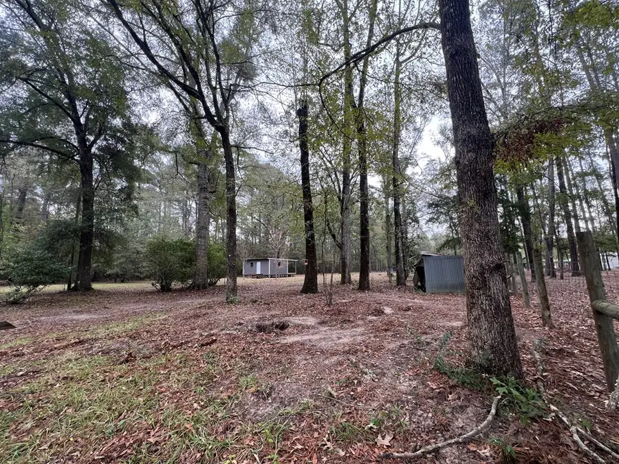 2425 County Road 020, Jasper, TX 75951 - #3