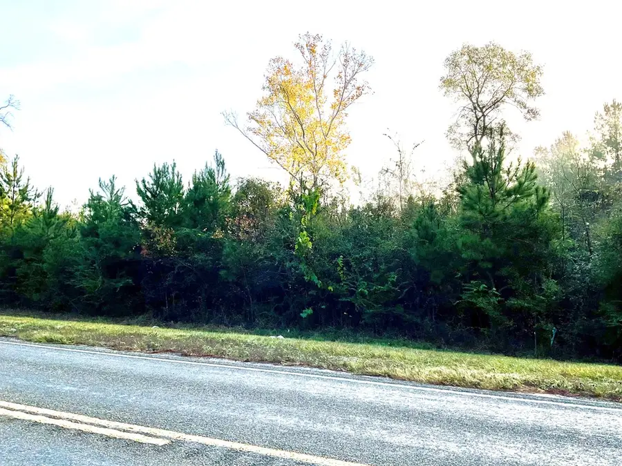 000 Highway 92, Spurger, TX 77660 - #3