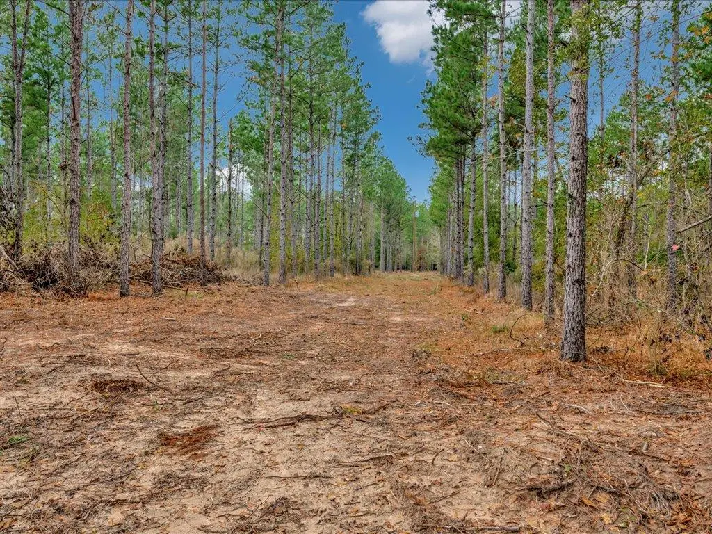 PID 25936 Moore Cemetery Road, Groveton, TX 75845 - #1