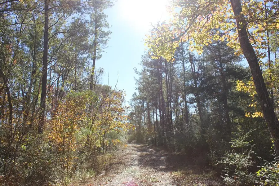 PID 25936 Moore Cemetery Road, Groveton, TX 75845 - #3