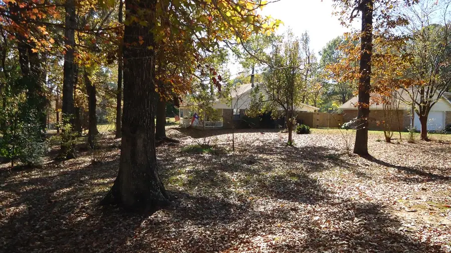 175 Confederate Drive, Hemphill, TX 75948 - #2