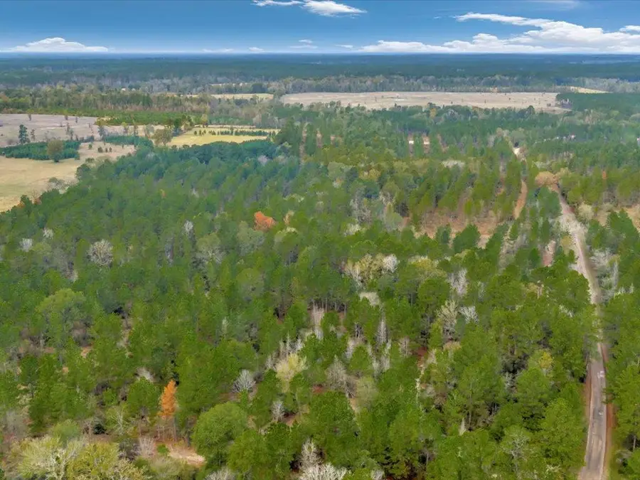 PID 25936 Moore Cemetery Road, Groveton, TX 75845 - #2