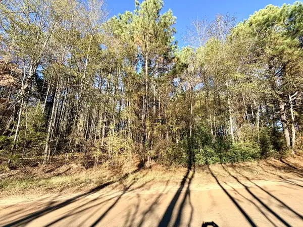 Tract No 1 County Road 3150, Deberry, TX 75639