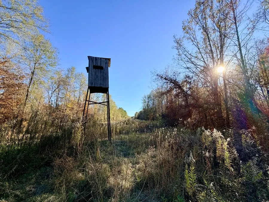 Tract 2 County Road 3150, De Berry, TX 75639 - #2