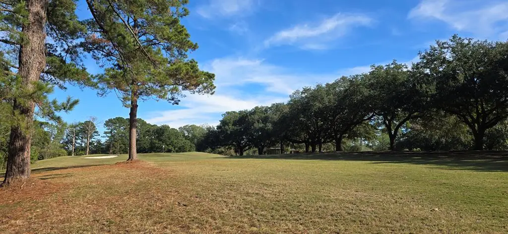 155 Sweetbriar Court, Brookeland, TX 75931 - #1