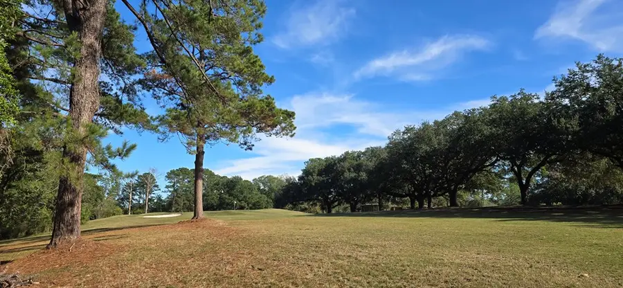 155 Sweetbriar Court, Brookeland, TX 75931 - #2
