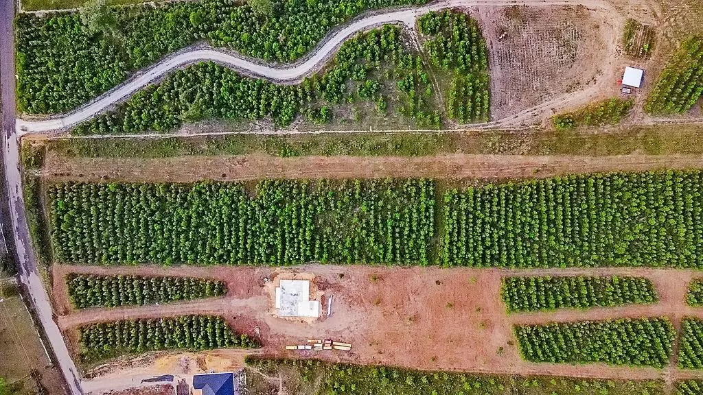 151047 Cc Road, Diboll, TX 75941 - #1