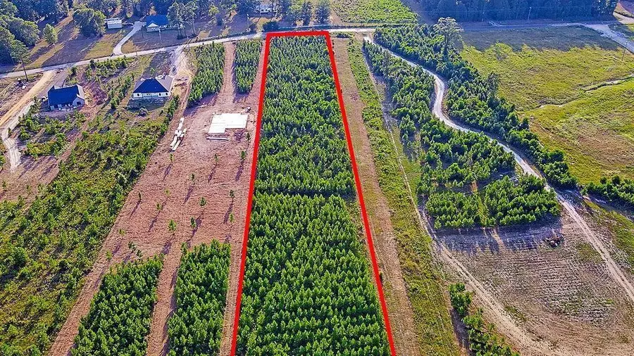 151047 Cc Road, Diboll, TX 75941 - #2