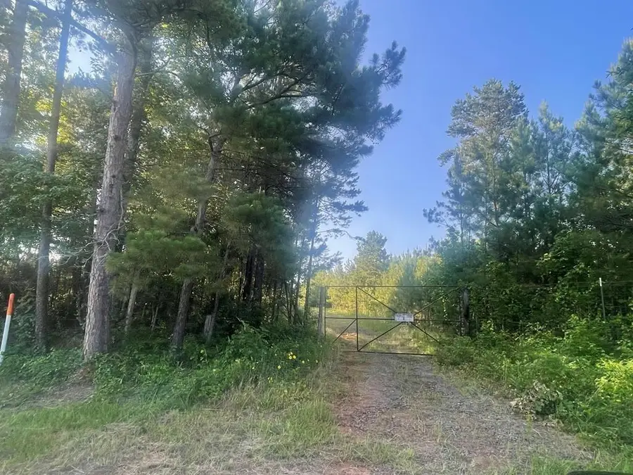 tr 20 Fm 83, Pineland, TX 75968 - #2