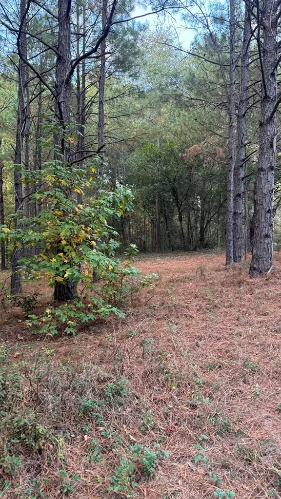 220 Kennon Drive, Hemphill, TX 75948 - #2