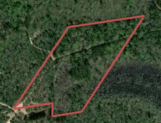 500 Pr 8170, Kirbyville, TX 75956 - #1