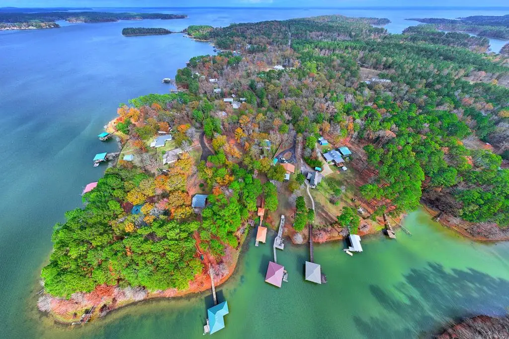 389 Lakeland Circle, Hemphill, TX 75948 - #1