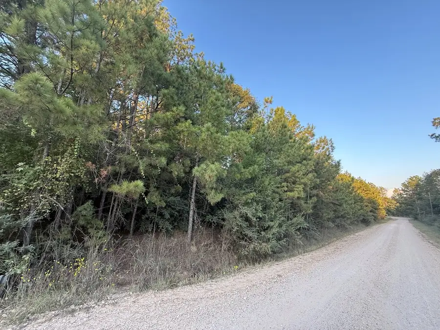 183 Deaf Smith Road, Moscow, TX 75960 - #2