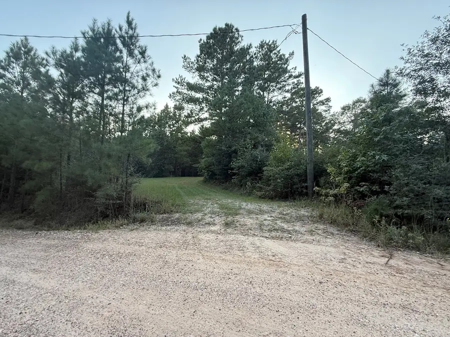 Lot 20 Clint Rd, Moscow, TX 75960 - #2