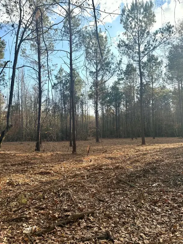 lot 1 Cr 3182, JOAQUIN, TX 75954