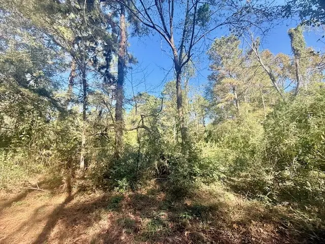 53546 Cr 087, Jasper, TX 75951 - #2