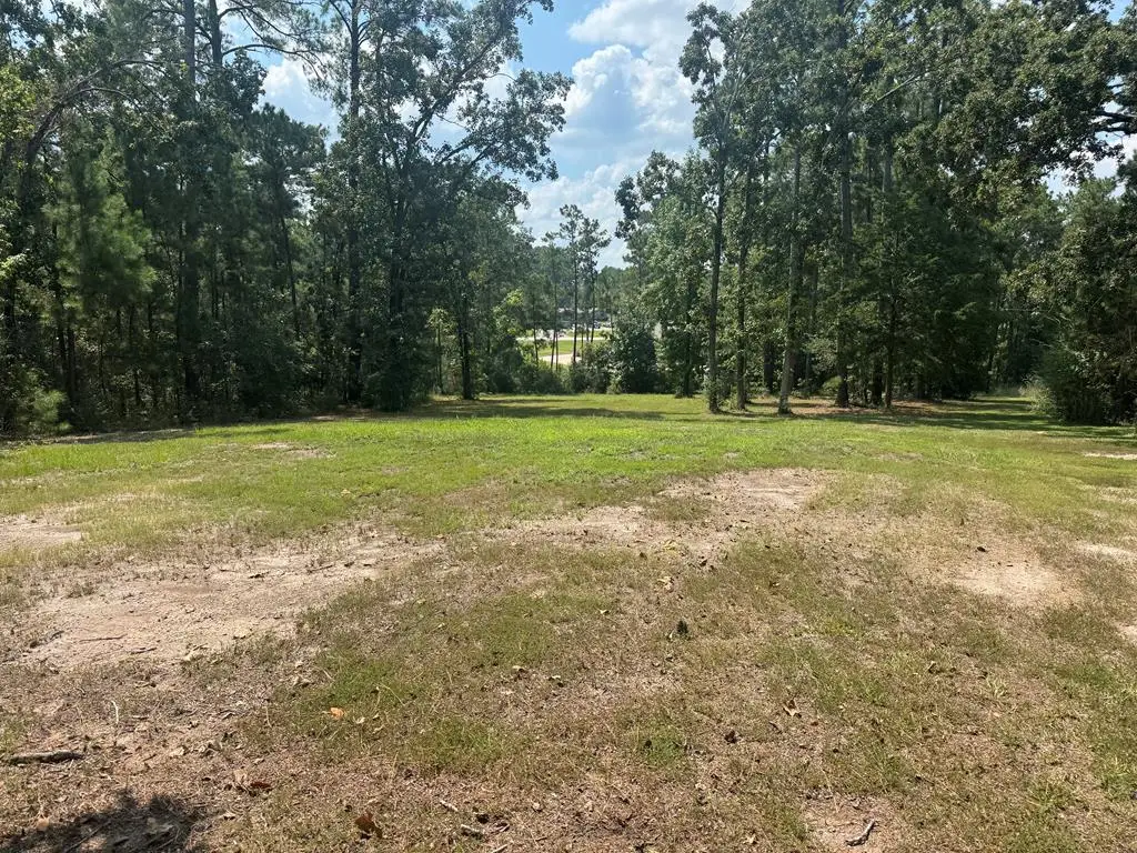 Lot 2122 Post Oak, Brookeland, TX 75931 - #1