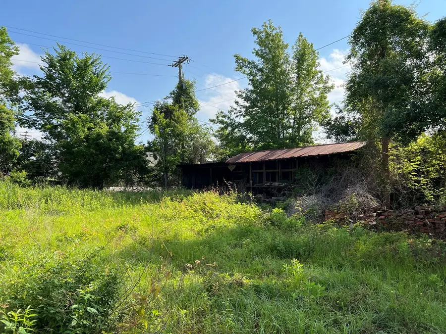 132 S Austin Street, Jasper, TX 75951 - #3