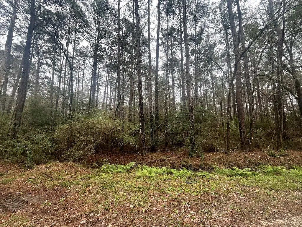 PID #36355 County Road 828, Vidor, TX 77662 - #1