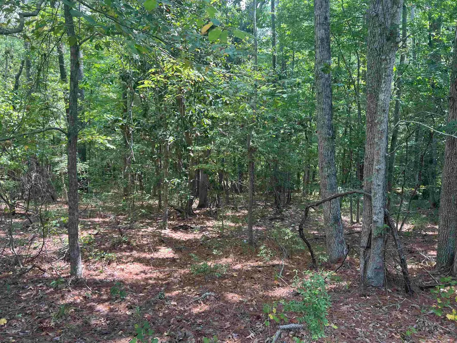 57 Shank Drive, Brookeland, TX 75931 - #2