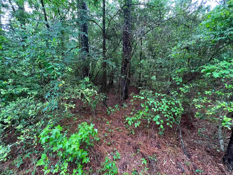 002 Parkside Drive, Brookeland, TX 75931 - #2