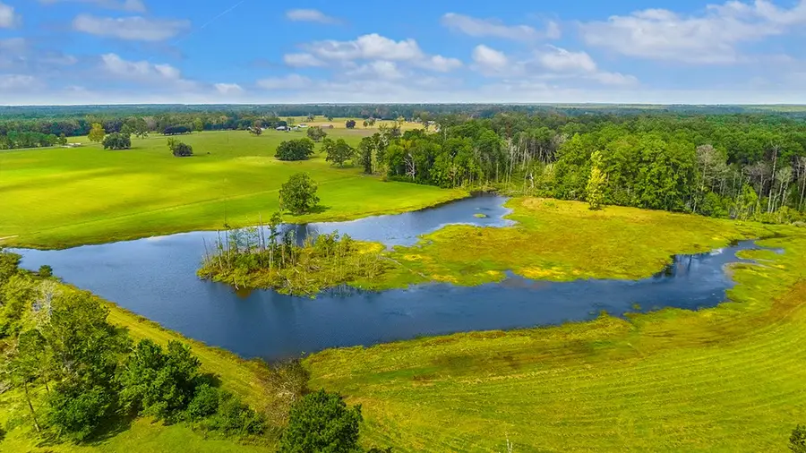 1788 County Road 480, Kirbyville, TX 75956 - #3