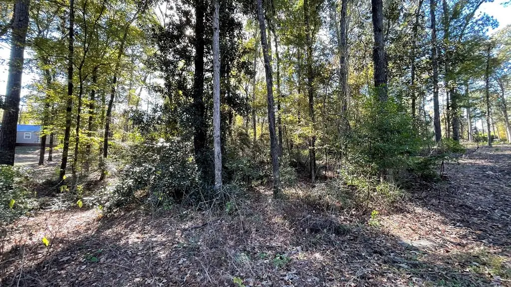 110 Pinecone Lane, Hemphill, TX 75948 - #1