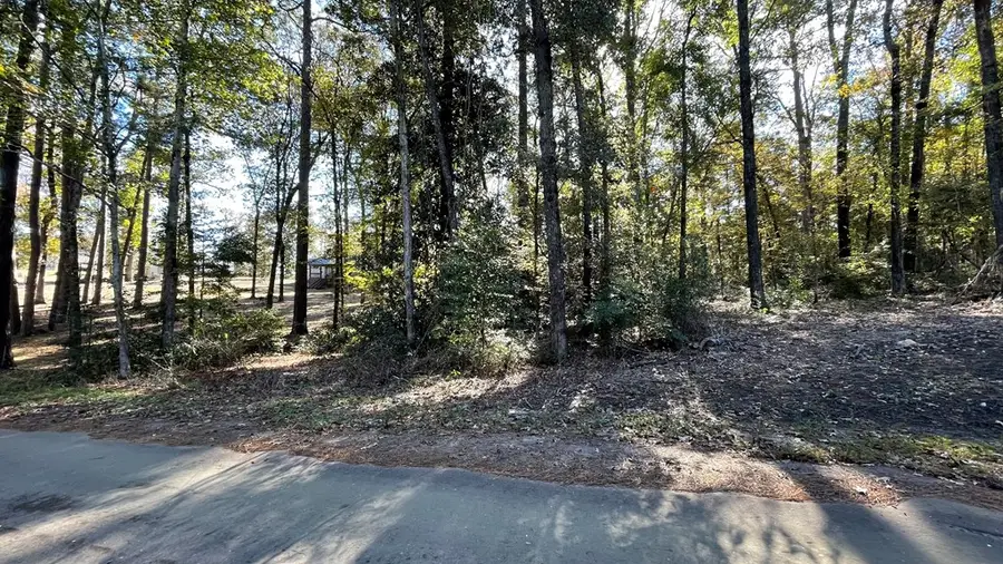 110 Pinecone Lane, Hemphill, TX 75948 - #2